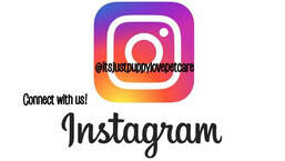 Connect with us on instagram @itsjustpuppylovepetcare
